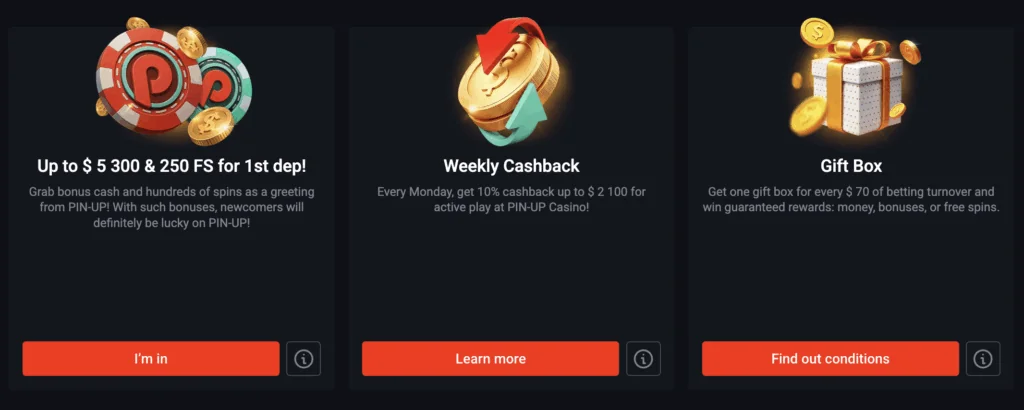 bonuses at Casino Pin Up